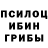 Галлюциногенные грибы мицелий LeVeReT South