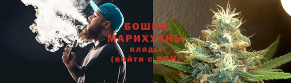 ГАЛЛЮЦИНОГЕННЫЕ ГРИБЫ Балахна