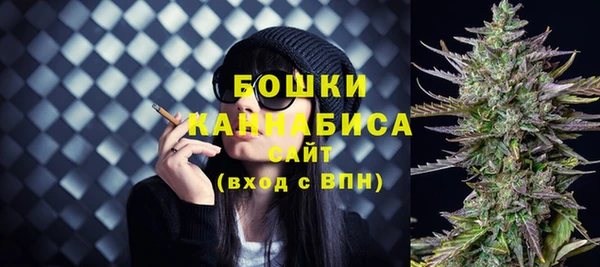 ГАЛЛЮЦИНОГЕННЫЕ ГРИБЫ Балахна