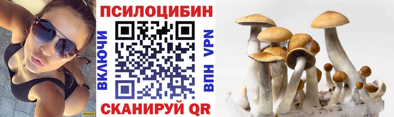 Псилоцибиновые грибы Cubensis  купить   Городище 